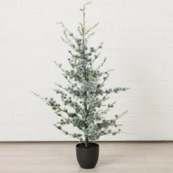 Sonstige Tannenbaum KIEFER