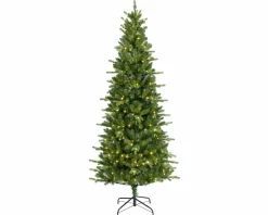 Online casa NOVA Tannenbaum KILLINGTON