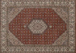 Sonstige Teppich Alwar Bidjar 170x240