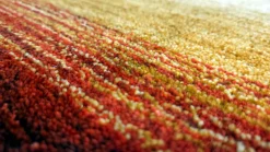 Best Sonstige Teppich RAINBOW 1201 multi