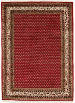 OCI Teppich SAKKI MIR