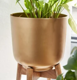 Outlet Sonstige Vase