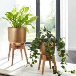 Outlet Sonstige Vase