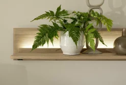 Sale MCA Wandboard ALENTO