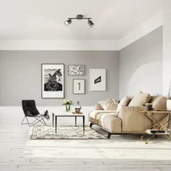 FISCHER & HONSEL Wand-/Deckenspot VANO