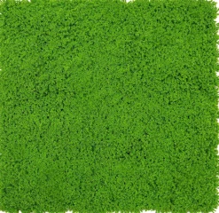 Outlet Jangal Wandpaneel MODULAR WALL