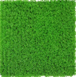 Jangal Wandpaneel MODULAR WALL