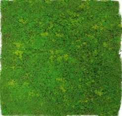 Jangal Wandpaneel MODULAR WALL