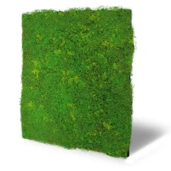 Jangal Wandpaneel MODULAR WALL