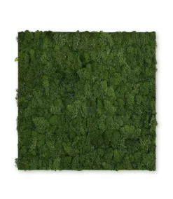 Jangal Wandpaneel MODULAR WALL