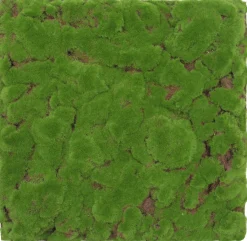 Sale Jangal Wandpaneel MODULAR WALL