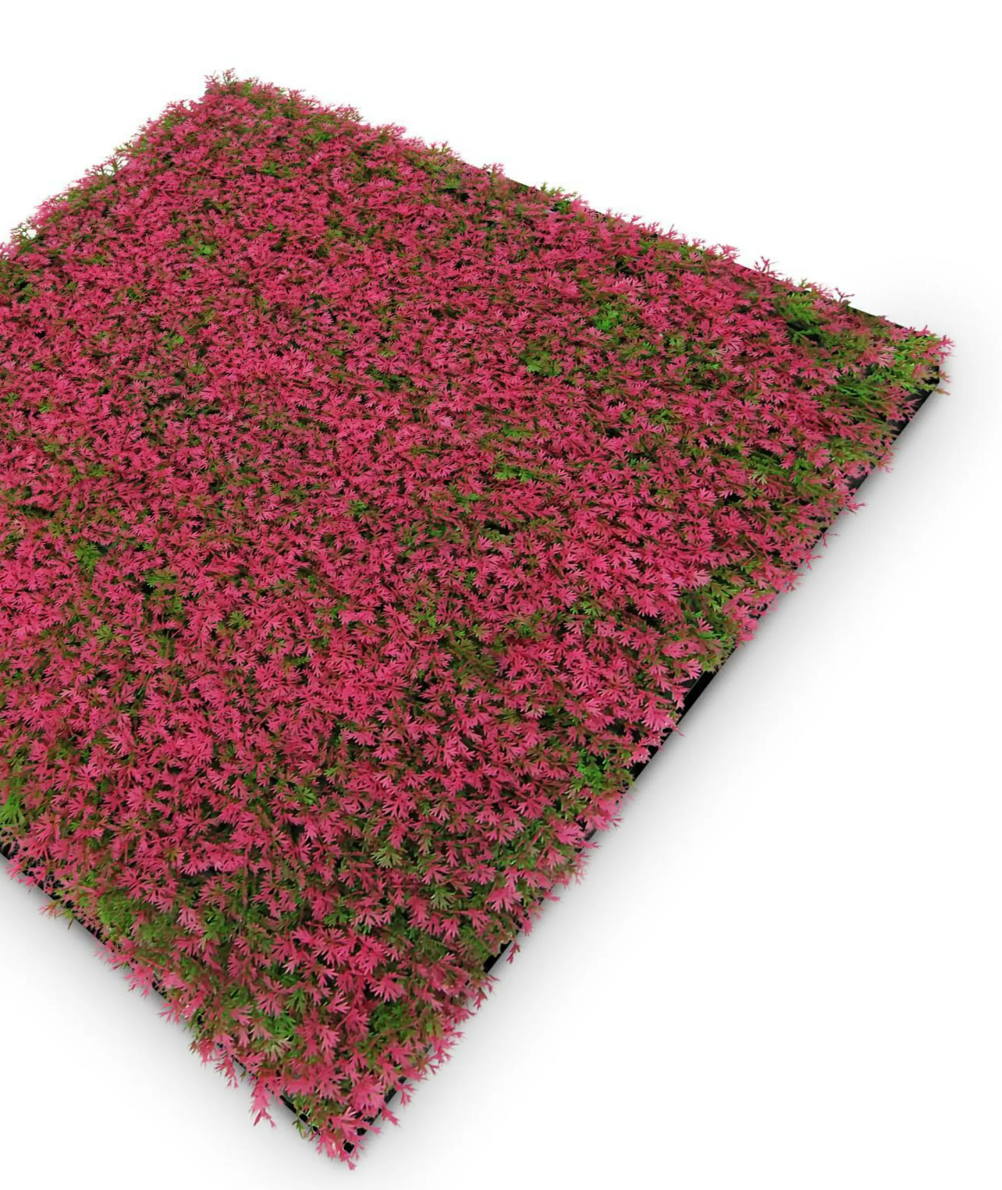 Hot Jangal Wandpaneel MODULAR WALL