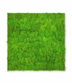 Jangal Wandpaneel MODULAR WALL