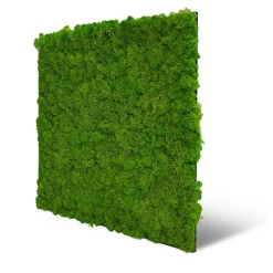 Jangal Wandpaneel MODULAR WALL