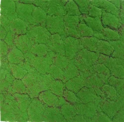 Jangal Wandpaneel MODULAR WALL