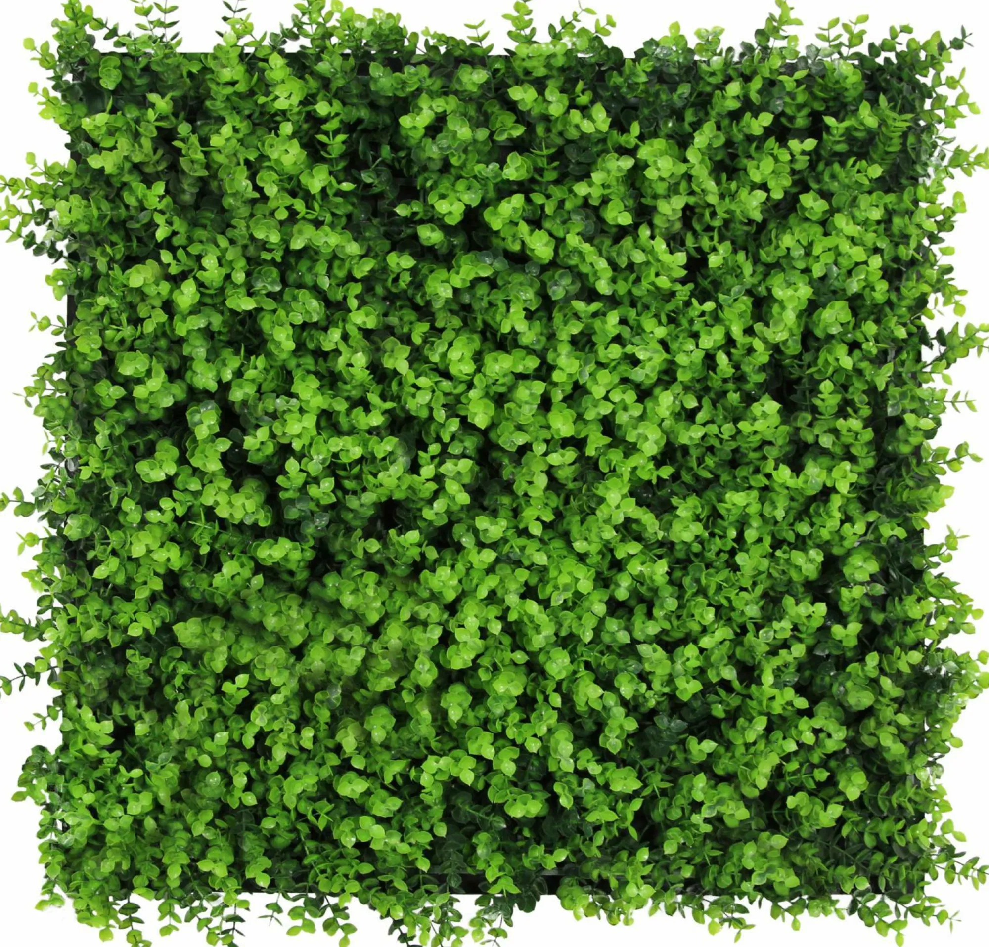 Jangal Wandpaneel MODULAR WALL