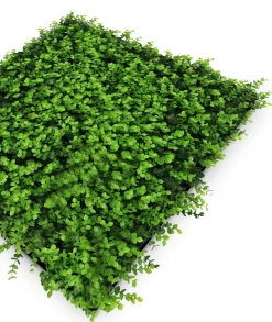 Jangal Wandpaneel MODULAR WALL