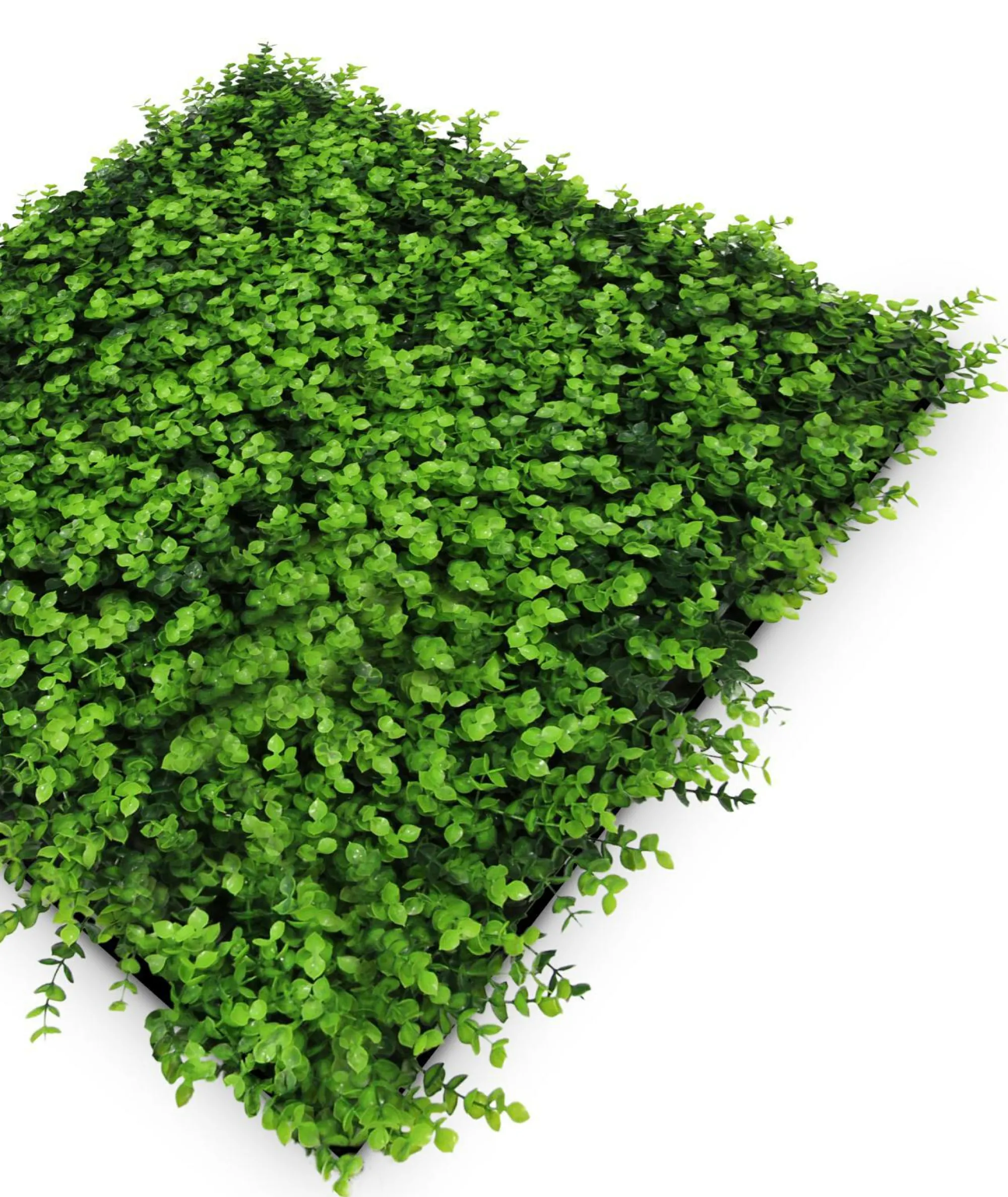 Jangal Wandpaneel MODULAR WALL