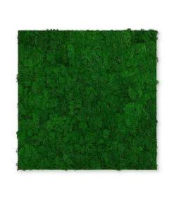 Jangal Wandpaneel MODULAR WALL