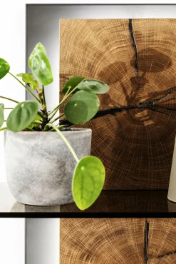 Sale MCA Wandregal ASSINI