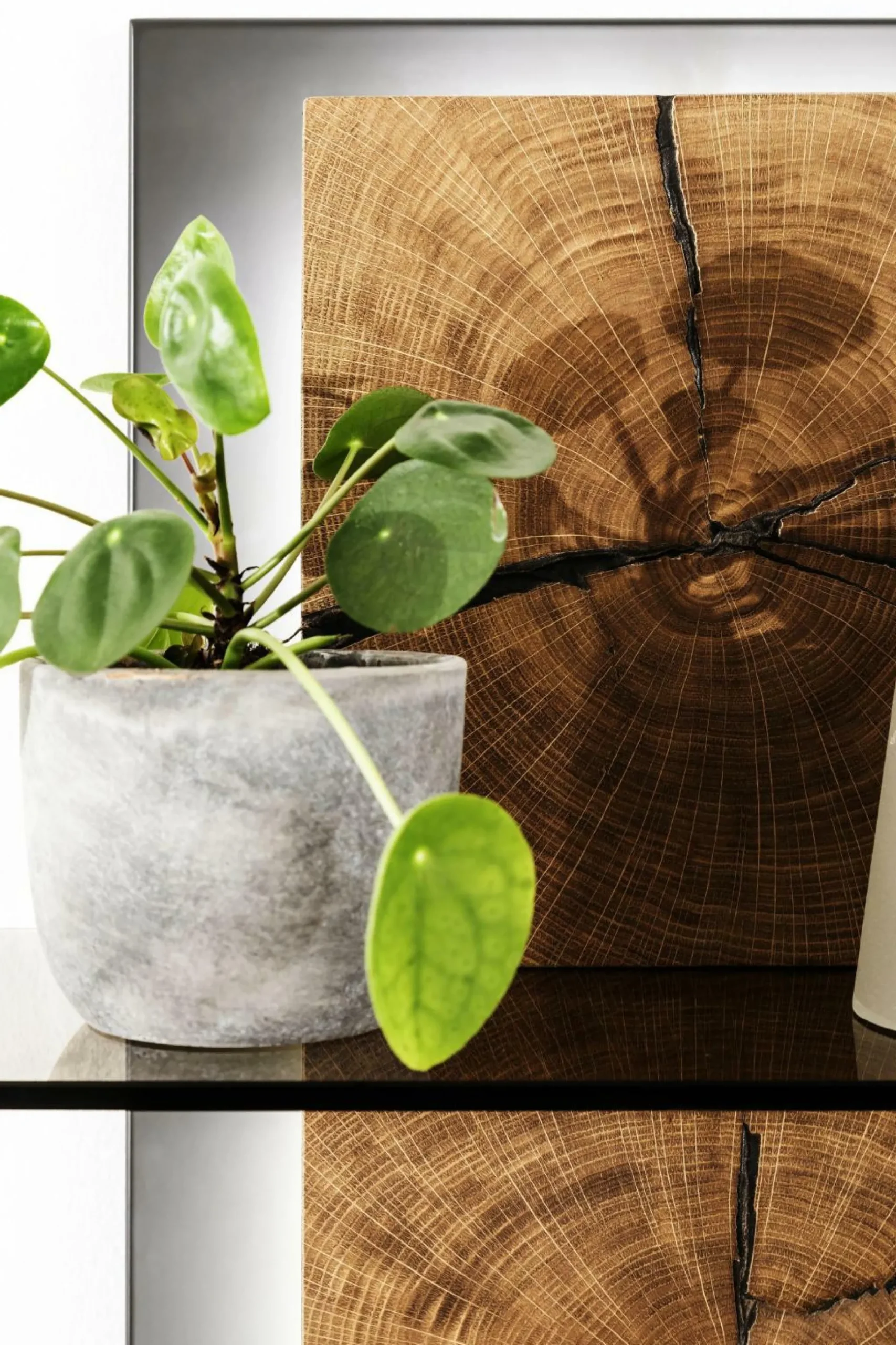 Sale MCA Wandregal ASSINI