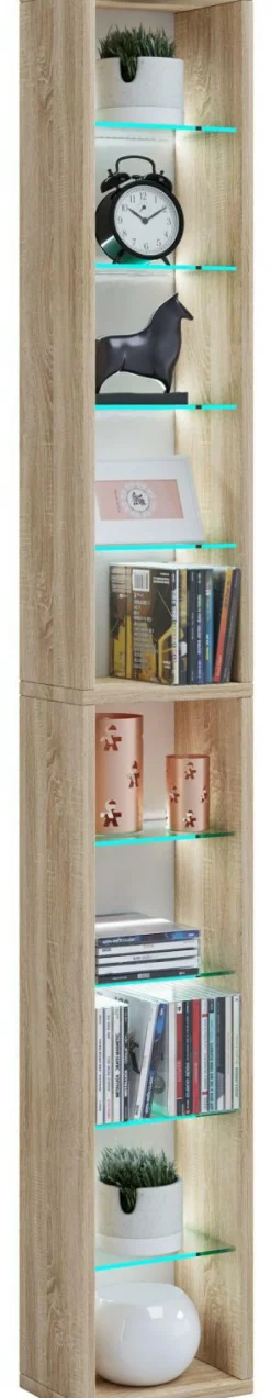 Hot VCM Wandregal RASITO