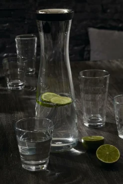 Hot WMF Wasserkaraffe BASIC schwarz