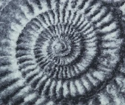 GRUND a.s. WC-Vorlage AMMONA