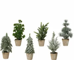 Sonstige Weihnachtsbaum im Topf