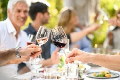 New ZWIESEL Weißweinglas PRIZMA