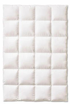 Best sanders Winterbett DREAMCATCHER