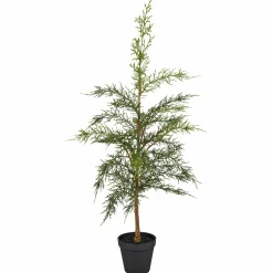 GASPER Zypressenbäumchen